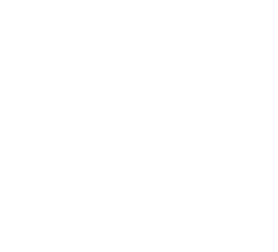 Logo de Bull Trade